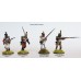 French Napoleonic Infantry Battalion 1807-1814